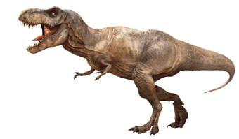 kids facts - tyrannosaurus dinosaur
